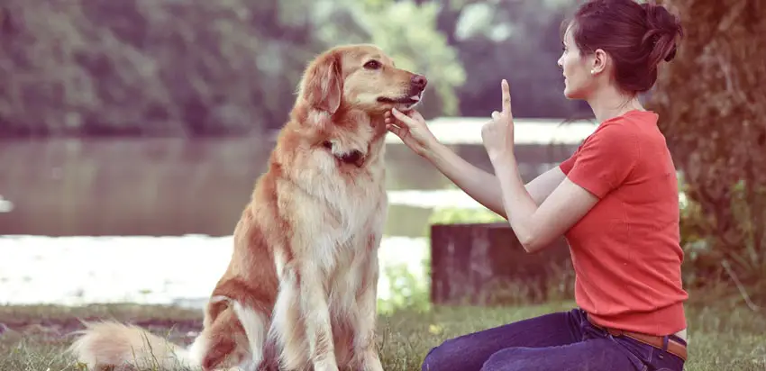woman giving her dog training instruction command