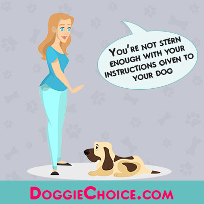 Woman giving stern instructions to her dog